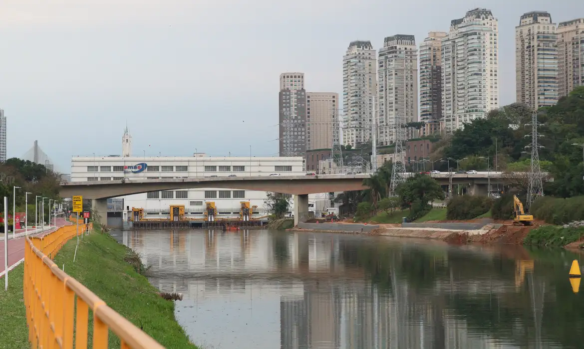Leilão